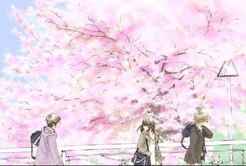 福建大菠萝官网下载